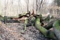 Filename=Kulhan_31_3_2004_15.jpg
Filesize=434KiB
Dimensions=1024x683
Date added=Jan 21, 2015 Kulhan_31_3_2004_15.jpg