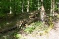 Filename=Kulhan_9_5_2016_02.jpg
Filesize=507KiB
Dimensions=1024x683
Date added=Mar 07, 2018 Kulhan_9_5_2016_02.jpg