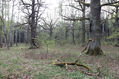 Název souboru=Kuncice_1_5_2022_06.jpg
Velikost souboru=716KB
Rozměry=1024x683
Datum přidání=18.02.2023 Kuncice_1_5_2022_06.jpg