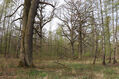Název souboru=Kuncice_1_5_2022_10.jpg
Velikost souboru=725KB
Rozměry=1024x683
Datum přidání=18.02.2023 Kuncice_1_5_2022_10.jpg