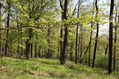 Dateiname=Kurdejov_5_5_2023_14.jpg
Dateigröße=836KB
Abmessungen: 1024x683
hinzugefügt am: 26. Oktober 2023 Kurdejov_5_5_2023_14.jpg