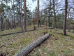 Název souboru=LNV_3_4_2024_32.jpg
Velikost souboru=1068KB
Rozměry=1200x900
Datum přidání=18.04.2024 LNV_3_4_2024_32.jpg