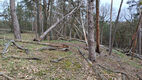 Název souboru=LNV_3_4_2024_44.jpg
Velikost souboru=801KB
Rozměry=1200x675
Datum přidání=18.04.2024 LNV_3_4_2024_44.jpg