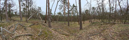 Název souboru=LNV_3_4_2024_56.jpg
Velikost souboru=1045KB
Rozměry=2211x690
Datum přidání=18.04.2024 LNV_3_4_2024_56.jpg