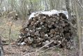 Název souboru=Ladomirov_20_4_2015_13.jpg
Velikost souboru=508KB
Rozměry=1024x683
Datum přidání=01.10.2015 Ladomirov_20_4_2015_13.jpg