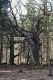 Filename=Lany_19_3_2003_16.jpg
Filesize=269KiB
Dimensions=599x900
Date added=Dec 07, 2009 Lany_19_3_2003_16.jpg