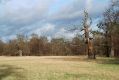 Lednice_19_12_2004_01.jpg