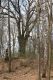 Název souboru=Lepejovice_5_4_2008_10.jpg
Velikost souboru=397KB
Rozměry=600x900
Datum přidání=17.01.2015 Lepejovice_5_4_2008_10.jpg