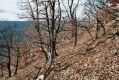 Název souboru=Lhanice_1_12_2006_06.jpg
Velikost souboru=574KB
Rozměry=1024x683
Datum přidání=10.03.2017 Lhanice_1_12_2006_06.jpg