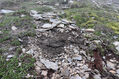 Název souboru=M_Cenis_20_6_2023_24.jpg
Velikost souboru=971KB
Rozměry=1024x683
Datum přidání=23.06.2023 M_Cenis_20_6_2023_24.jpg