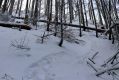 Machov_22_1_2022_03.jpg