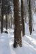 Machov_22_1_2022_10.jpg