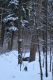 Machov_22_1_2022_17.jpg