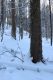 Machov_22_1_2022_18.jpg