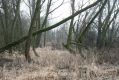 Název souboru=Mal_Porici_13_2_2016_02.jpg
Velikost souboru=515KB
Rozměry=1024x683
Datum přidání=13.02.2016 Mal_Porici_13_2_2016_02.jpg