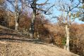 Název souboru=MalaLehota_26_10_2013_100.jpg
Velikost souboru=570KB
Rozměry=1024x683
Datum přidání=13.11.2017 MalaLehota_26_10_2013_100.jpg