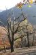 Filename=MalaLehota_26_10_2013_105.jpg
Filesize=559KiB
Dimensions=600x900
Date added=Nov 13, 2017 MalaLehota_26_10_2013_105.jpg
