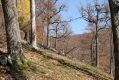 Název souboru=MalaLehota_26_10_2013_10~0.jpg
Velikost souboru=525KB
Rozměry=1024x683
Datum přidání=13.11.2017 MalaLehota_26_10_2013_10~0.jpg