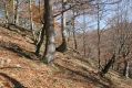 Název souboru=MalaLehota_26_10_2013_20.jpg
Velikost souboru=585KB
Rozměry=1024x683
Datum přidání=13.11.2017 MalaLehota_26_10_2013_20.jpg