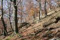 Název souboru=MalaLehota_26_10_2013_23.jpg
Velikost souboru=571KB
Rozměry=1024x683
Datum přidání=13.11.2017 MalaLehota_26_10_2013_23.jpg