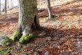 Název souboru=MalaLehota_26_10_2013_26.jpg
Velikost souboru=555KB
Rozměry=1024x683
Datum přidání=13.11.2017 MalaLehota_26_10_2013_26.jpg