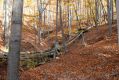 Název souboru=MalaLehota_26_10_2013_29.jpg
Velikost souboru=534KB
Rozměry=1024x683
Datum přidání=13.11.2017 MalaLehota_26_10_2013_29.jpg