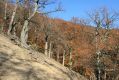 Název souboru=MalaLehota_26_10_2013_55.jpg
Velikost souboru=580KB
Rozměry=1024x683
Datum přidání=13.11.2017 MalaLehota_26_10_2013_55.jpg