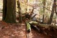 Název souboru=MalaLehota_26_10_2013_63.jpg
Velikost souboru=536KB
Rozměry=1024x683
Datum přidání=13.11.2017 MalaLehota_26_10_2013_63.jpg