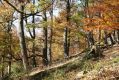 Název souboru=MalaLehota_26_10_2013_71.jpg
Velikost souboru=624KB
Rozměry=1024x683
Datum přidání=13.11.2017 MalaLehota_26_10_2013_71.jpg