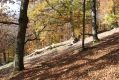 Název souboru=MalaLehota_26_10_2013_74.jpg
Velikost souboru=597KB
Rozměry=1024x683
Datum přidání=13.11.2017 MalaLehota_26_10_2013_74.jpg