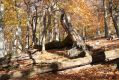 Název souboru=MalaLehota_26_10_2013_78.jpg
Velikost souboru=562KB
Rozměry=1024x683
Datum přidání=13.11.2017 MalaLehota_26_10_2013_78.jpg