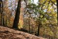 Název souboru=MalaLehota_26_10_2013_83.jpg
Velikost souboru=633KB
Rozměry=1024x683
Datum přidání=13.11.2017 MalaLehota_26_10_2013_83.jpg