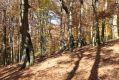 Název souboru=MalaLehota_26_10_2013_84.jpg
Velikost souboru=572KB
Rozměry=1024x683
Datum přidání=13.11.2017 MalaLehota_26_10_2013_84.jpg