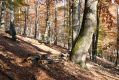 Název souboru=MalaLehota_26_10_2013_87.jpg
Velikost souboru=633KB
Rozměry=1024x683
Datum přidání=13.11.2017 MalaLehota_26_10_2013_87.jpg
