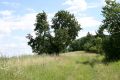 Malejov_20_7_2009_05.jpg
