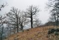 Název souboru=Mohelno_27_11_2006_01.jpg
Velikost souboru=507KB
Rozměry=1024x683
Datum přidání=10.03.2017 Mohelno_27_11_2006_01.jpg
