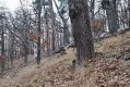 Název souboru=Mohelno_27_11_2006_05.jpg
Velikost souboru=572KB
Rozměry=1024x683
Datum přidání=10.03.2017 Mohelno_27_11_2006_05.jpg