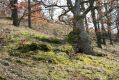 MorKrumlov_9_3_2007_14.jpg