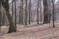 Dateiname=Namest_11_11_1989_07.jpg
Dateigröße=558KB
Abmessungen: 1024x683
hinzugefügt am: 07. Februar 2017 Namest_11_11_1989_07.jpg