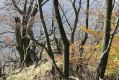 Název souboru=Nezb_Lucka_28_10_2010_03.jpg
Velikost souboru=540KB
Rozměry=1024x683
Datum přidání=22.04.2017 Nezb_Lucka_28_10_2010_03.jpg