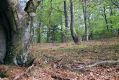 Název souboru=NovaLehota_25_4_2003_02.jpg
Velikost souboru=517KB
Rozměry=1024x683
Datum přidání=12.02.2017 NovaLehota_25_4_2003_02.jpg