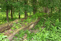 Nove_Mlyny_14_6_2009_02~0.jpg