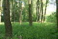 Nove_Mlyny_14_6_2009_03~0.jpg
