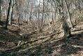 Název souboru=Olomucany_4_4_2006_01.jpg
Velikost souboru=632KB
Rozměry=1024x683
Datum přidání=10.03.2017 Olomucany_4_4_2006_01.jpg