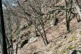Název souboru=Olomucany_4_4_2006_02.jpg
Velikost souboru=587KB
Rozměry=1024x683
Datum přidání=10.03.2017 Olomucany_4_4_2006_02.jpg