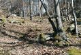 Název souboru=Olomucany_4_4_2006_03.jpg
Velikost souboru=593KB
Rozměry=1024x683
Datum přidání=10.03.2017 Olomucany_4_4_2006_03.jpg