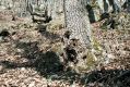 Název souboru=Olomucany_4_4_2006_04.jpg
Velikost souboru=547KB
Rozměry=1024x683
Datum přidání=10.03.2017 Olomucany_4_4_2006_04.jpg