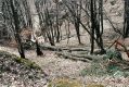 Název souboru=Olomucany_4_4_2006_05.jpg
Velikost souboru=565KB
Rozměry=1024x683
Datum přidání=10.03.2017 Olomucany_4_4_2006_05.jpg