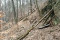 Název souboru=Olomucany_4_4_2006_13.jpg
Velikost souboru=564KB
Rozměry=1024x683
Datum přidání=10.03.2017 Olomucany_4_4_2006_13.jpg
