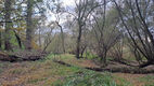 Název souboru=Opatovice_12_11_2023_13.jpg
Velikost souboru=581KB
Rozměry=1024x576
Datum přidání=14.03.2024 Opatovice_12_11_2023_13.jpg